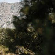 Marche photographique dans la Sierra Nevada en Andalousie, septembre 2019
