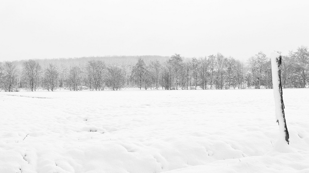 Hors série sur la neige de fevrier 2018.