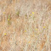 Marche photographique dans la Sierra Nevada en Andalousie, septembre 2019