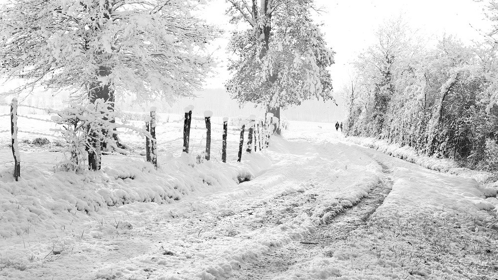 Hors série sur la neige de fevrier 2018.