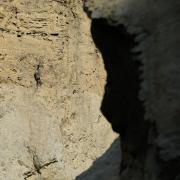 Retour sur une marche dans le désert de Tabernas en septembre 2019