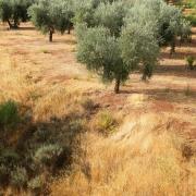 Marche photographique dans la Sierra Nevada en Andalousie, septembre 2019
