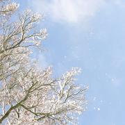 Hors série sur la neige de fevrier 2018.