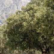 Marche photographique dans la Sierra Nevada en Andalousie, septembre 2019