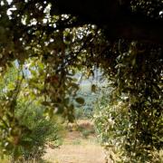 Marche photographique dans la Sierra Nevada en Andalousie, septembre 2019