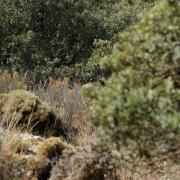 Marche photographique dans la Sierra Nevada en Andalousie, septembre 2019