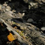 Retour sur une marche dans le désert de Tabernas en septembre 2019