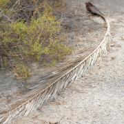 Retour sur une marche dans le désert de Tabernas en septembre 2019