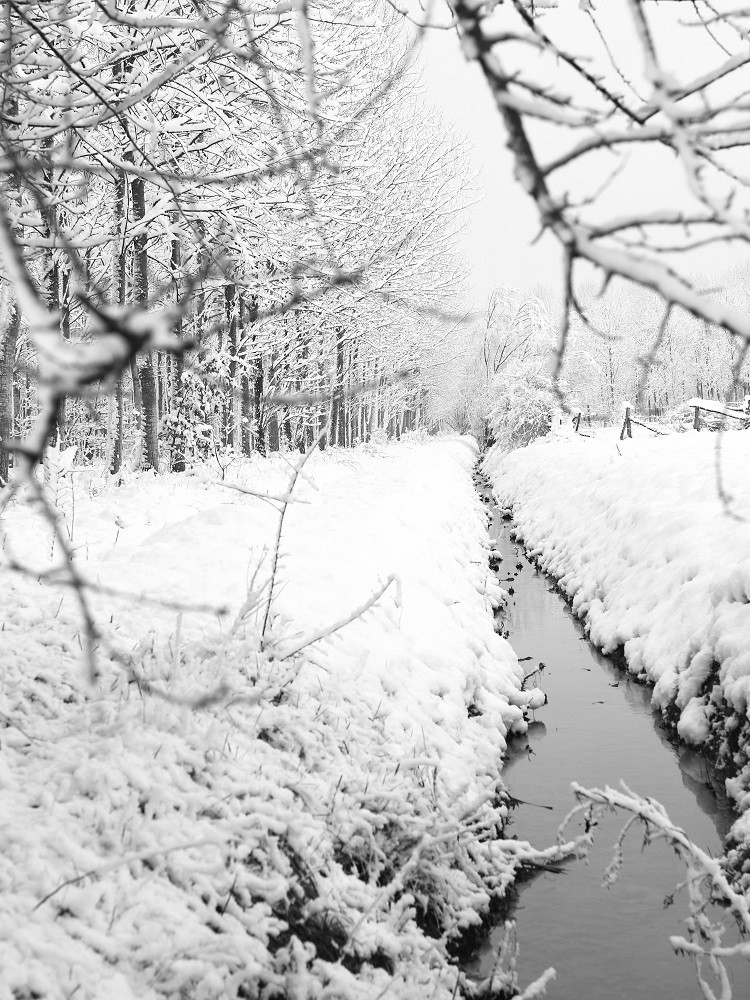 Hors série sur la neige de fevrier 2018.