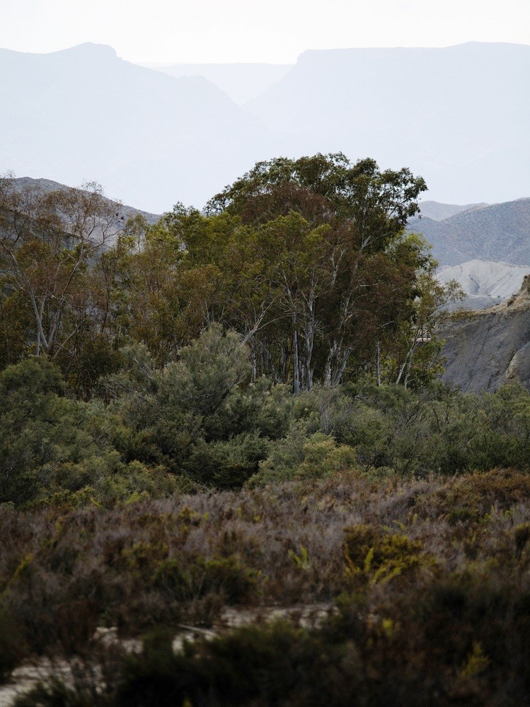 Retour sur une marche dans le désert de Tabernas en septembre 2019