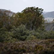 Retour sur une marche dans le désert de Tabernas en septembre 2019