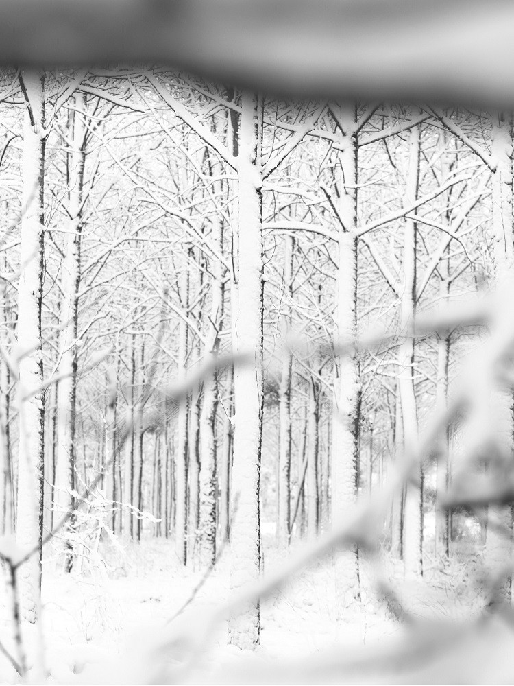 Hors série sur la neige de fevrier 2018.