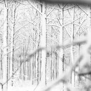 Hors série sur la neige de fevrier 2018.