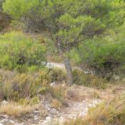Marche photographique dans la Sierra Nevada en Andalousie, septembre 2019