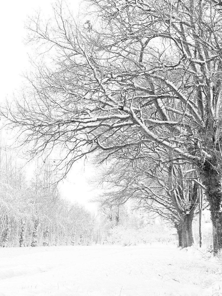 Hors série sur la neige de fevrier 2018.