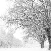 Hors série sur la neige de fevrier 2018.