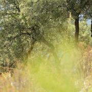 Marche photographique dans la Sierra Nevada en Andalousie, septembre 2019