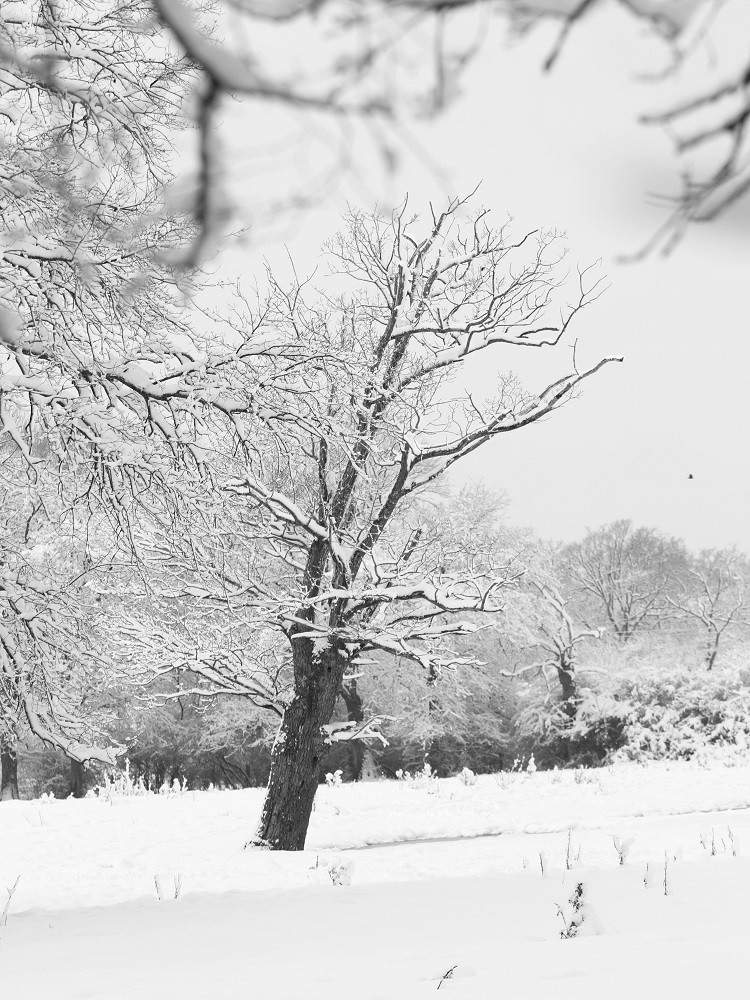 Hors série sur la neige de fevrier 2018.