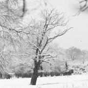 Hors série sur la neige de fevrier 2018.