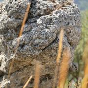 Marche photographique dans la Sierra Nevada en Andalousie, septembre 2019