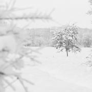 Hors série sur la neige de fevrier 2018.