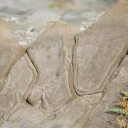 Retour sur une marche dans le désert de Tabernas en septembre 2019