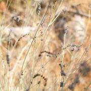 Marche photographique dans la Sierra Nevada en Andalousie, septembre 2019