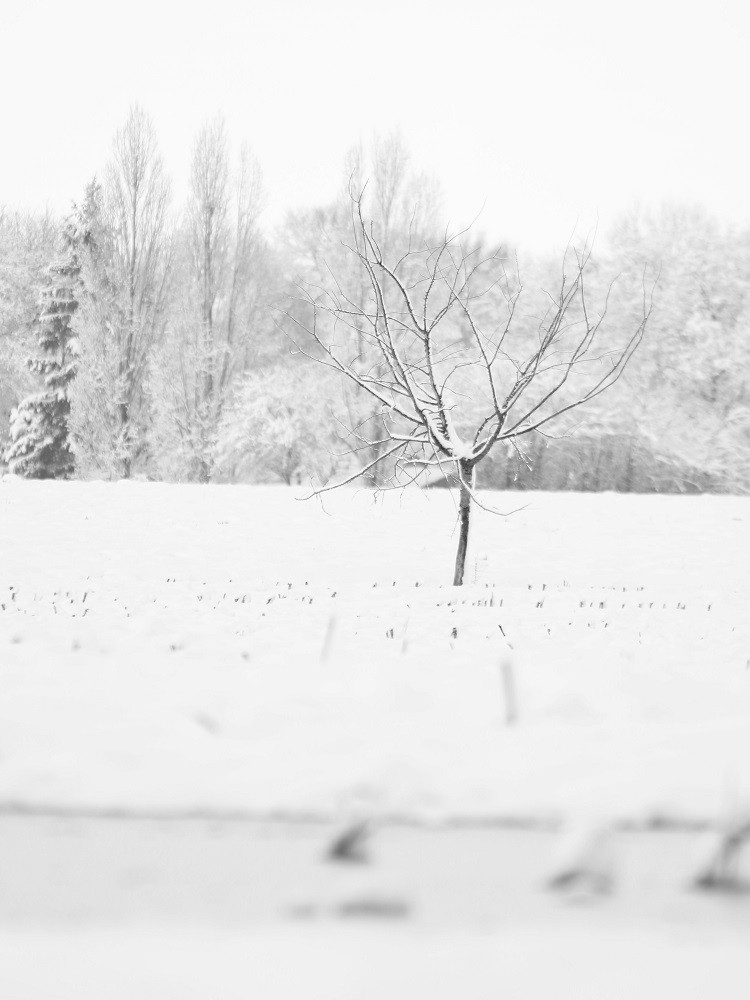 Hors série sur la neige de fevrier 2018.