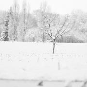 Hors série sur la neige de fevrier 2018.